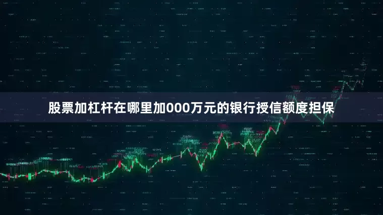 股票加杠杆在哪里加000万元的银行授信额度担保