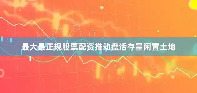 最大最正规股票配资推动盘活存量闲置土地