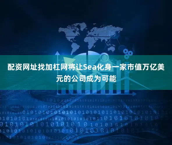 配资网址找加杠网将让Sea化身一家市值万亿美元的公司成为可能